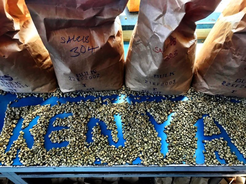 At the cupping lab in Nairobi, Kenya